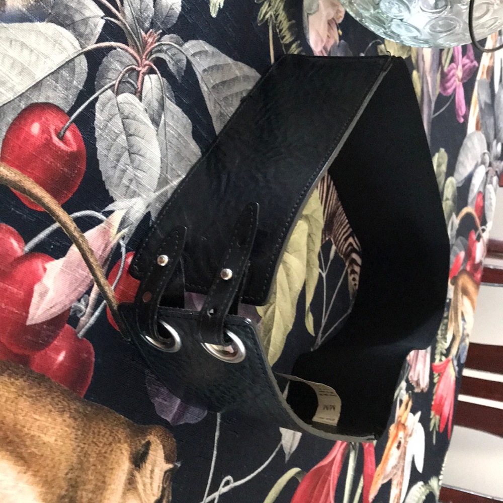 Tick belt
